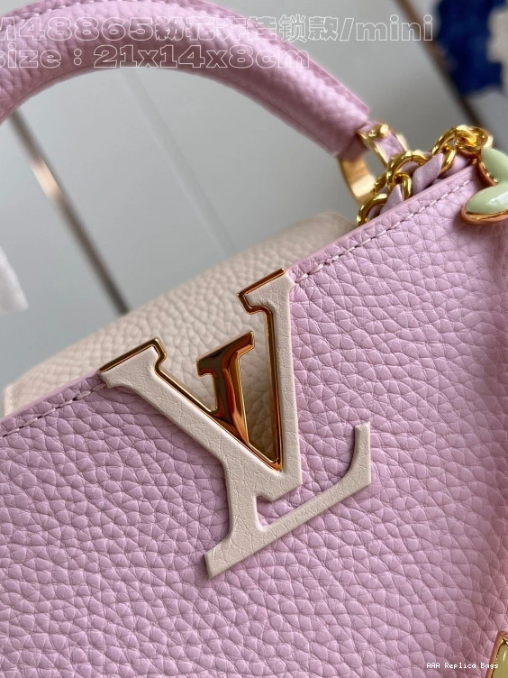 Aaa replica bags MINI-21*14*8CM LOUIS VUITTON CAPUCINES 0811